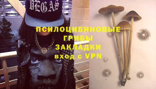 ALPHA PVP Алзамай
